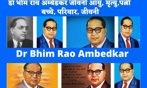डॉ भीम राव अम्बेडकर जीवनी Dr Bhim Rao Ambedkar Biography in Hind